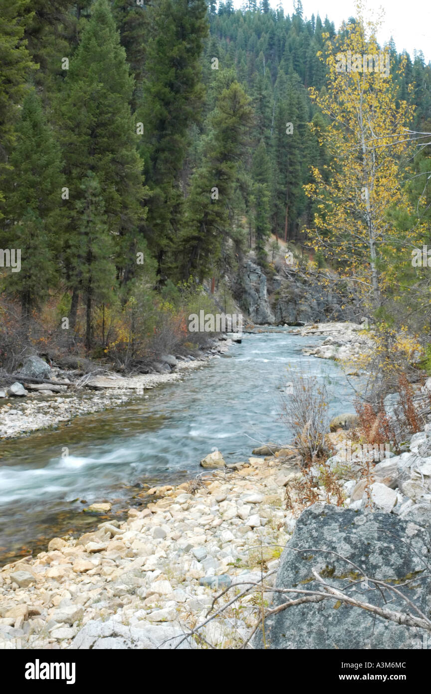 Small tributary steam of the Payette River in Idaho USA Stock Photo Alamy