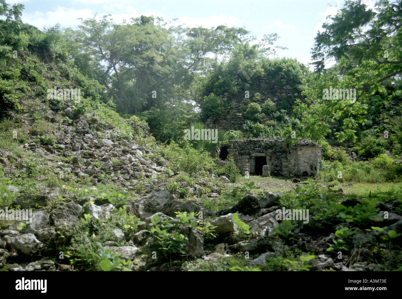 Ancient Mayan ruin in the less developed area of Uxmal Mexico Stock ...