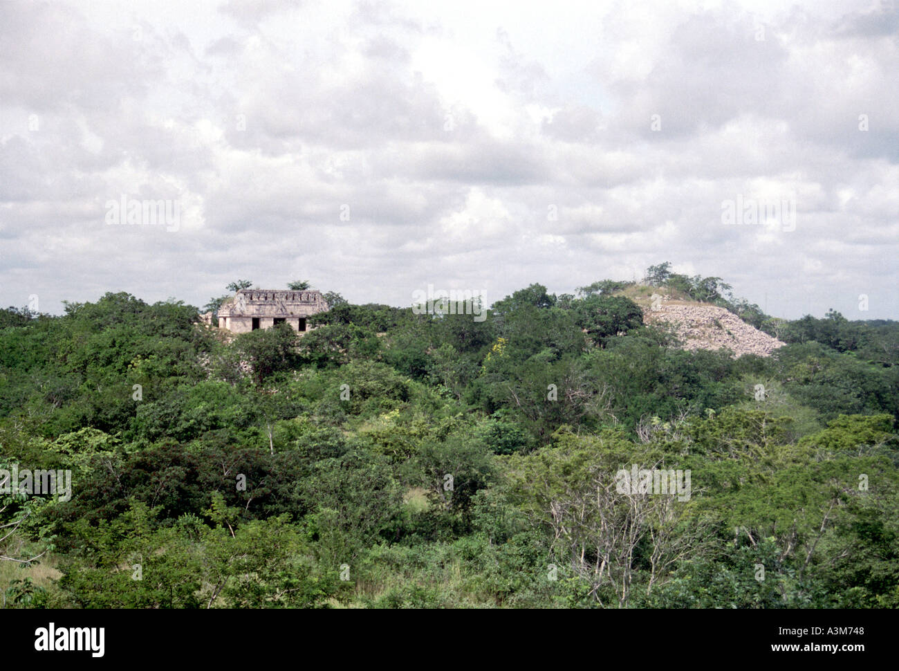Mayan jungle hi-res stock photography and images - Alamy