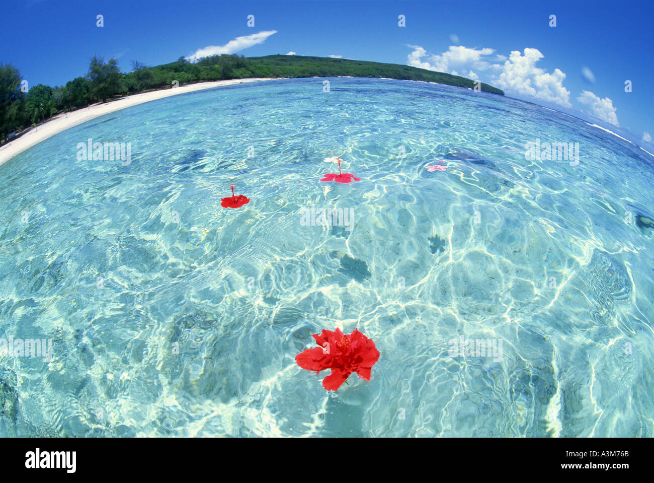 Nature Sea Ocean Landscape Stock Photo Alamy Nature Sea Ocean Landscape Stock Photo Alamy