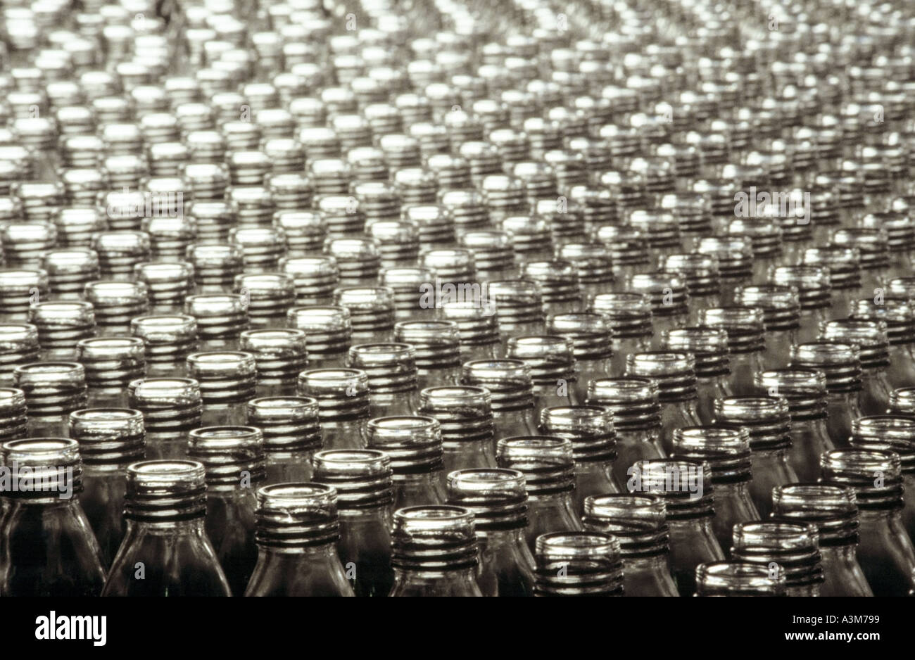 Glass bottles in soft drinks factory after passing through washing