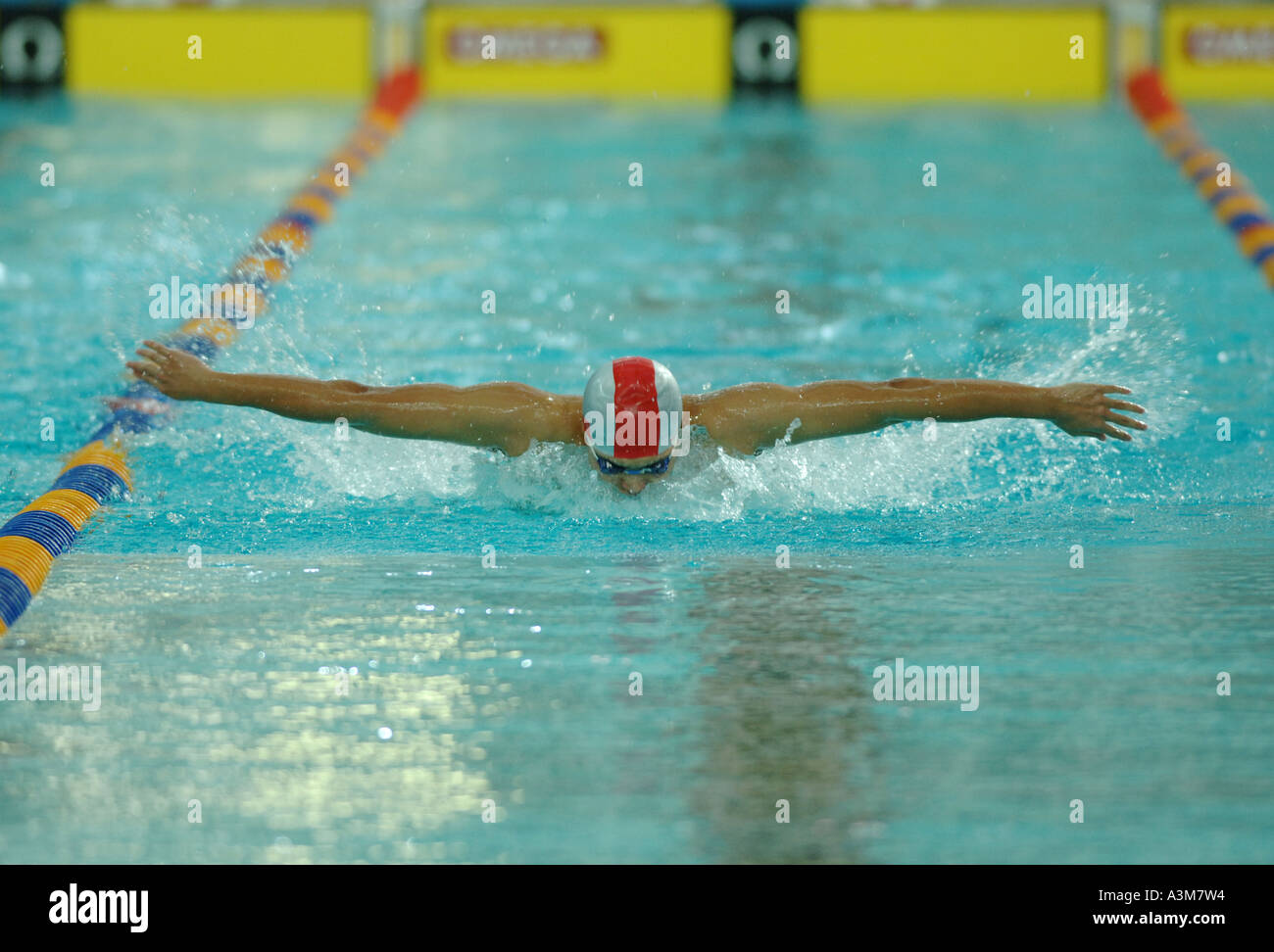 swimming competition, butterfly style Stock Photo Alamy