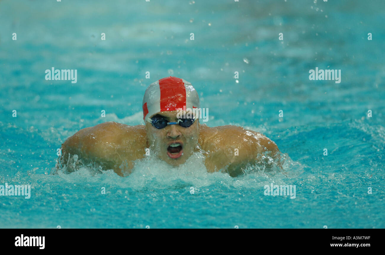 swimming competition,butterfly style Stock Photo Alamy
