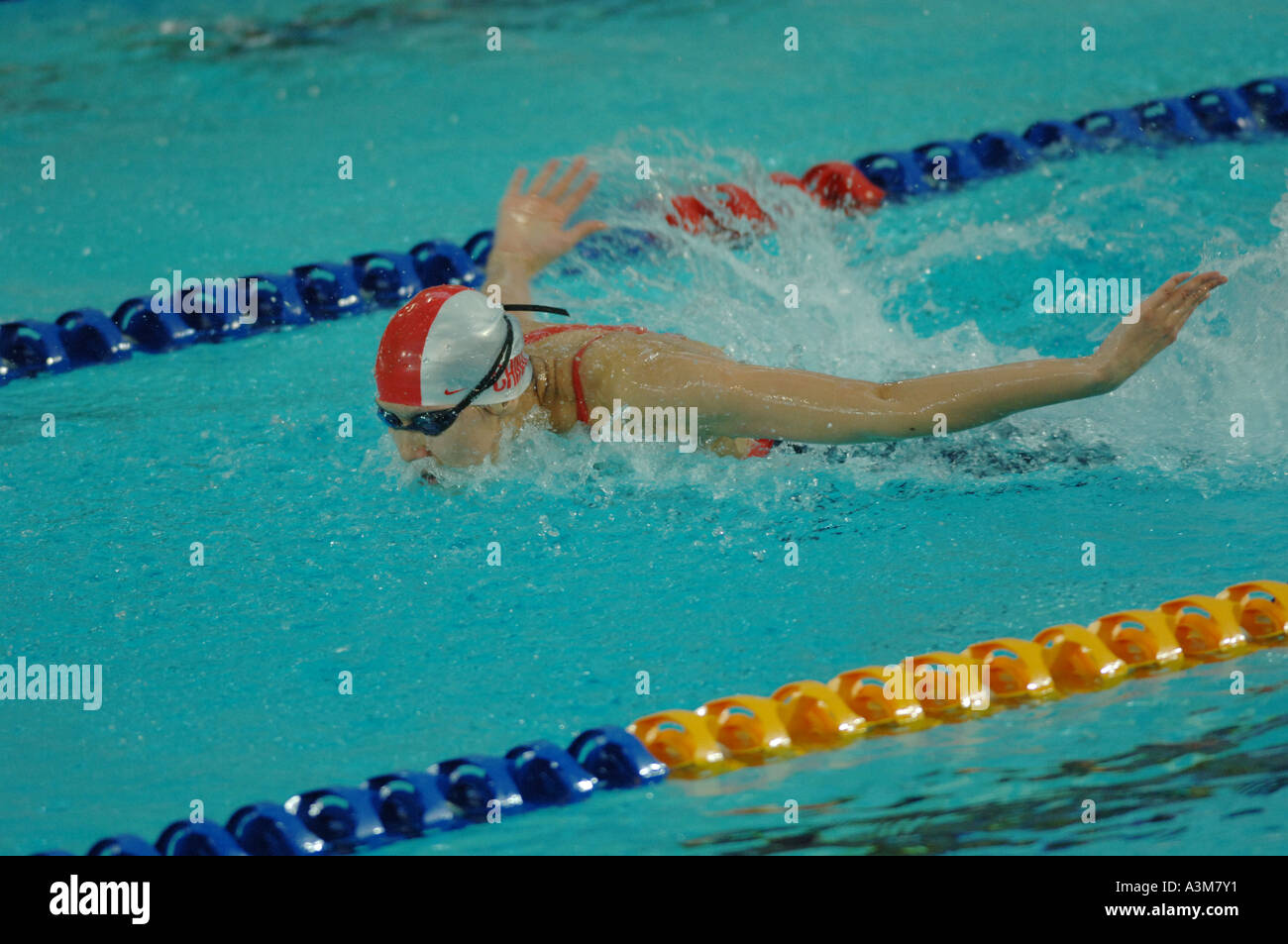 swimming competition, butterfly style Stock Photo Alamy