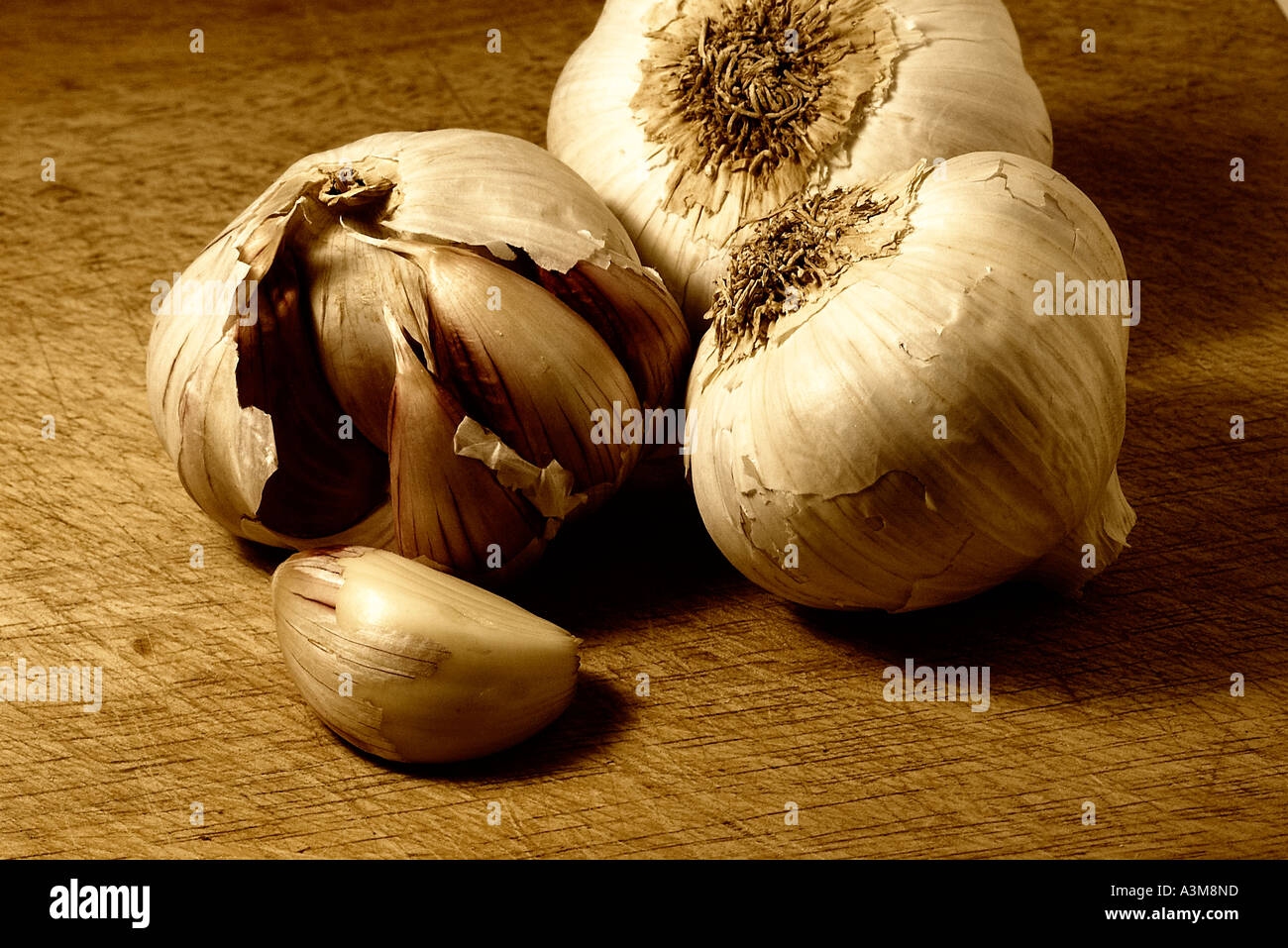 Garlic Digital Art colour stylizer Stock Photo