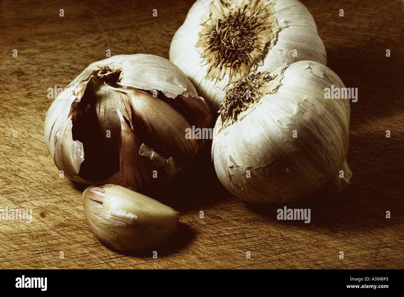 Garlic Digital Art old photo grain Stock Photo