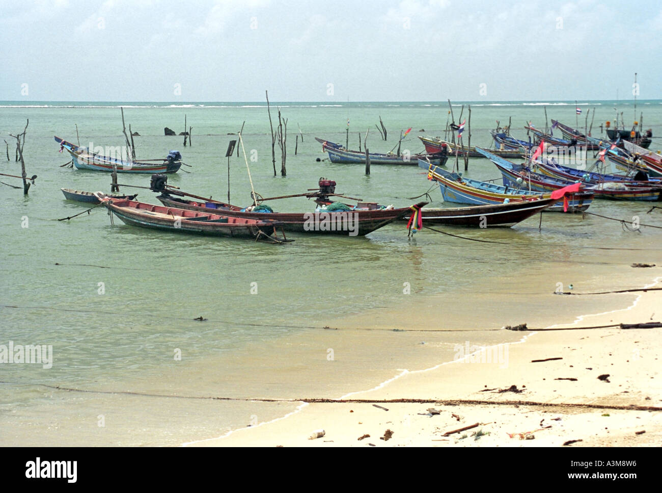 Fishing boats moored at Surat Ko Samui, Thailand, Gulf of Siam. DY33 Stock Photo