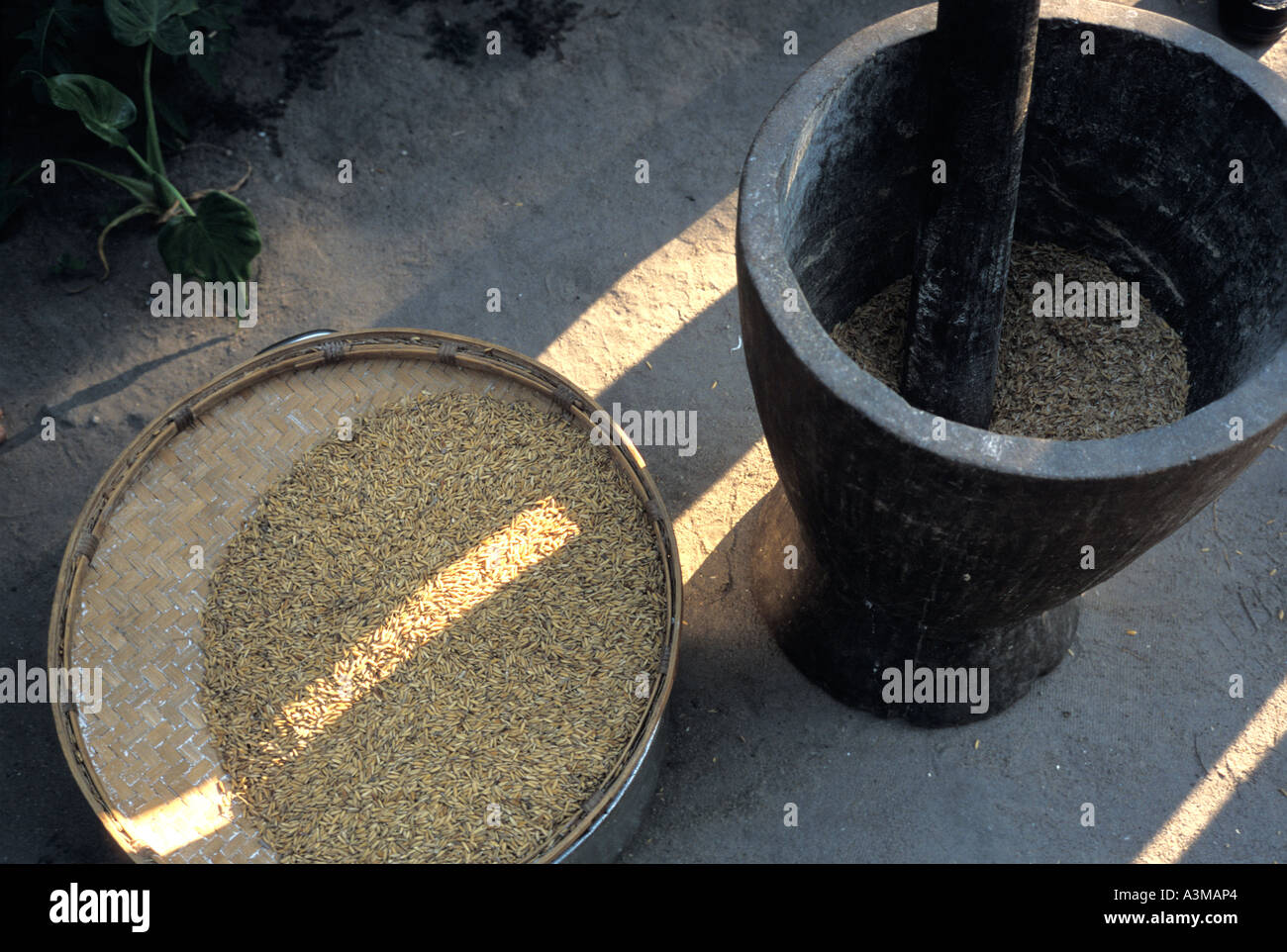 mortar and pestle with grain in Mozambique Stock Photo Alamy