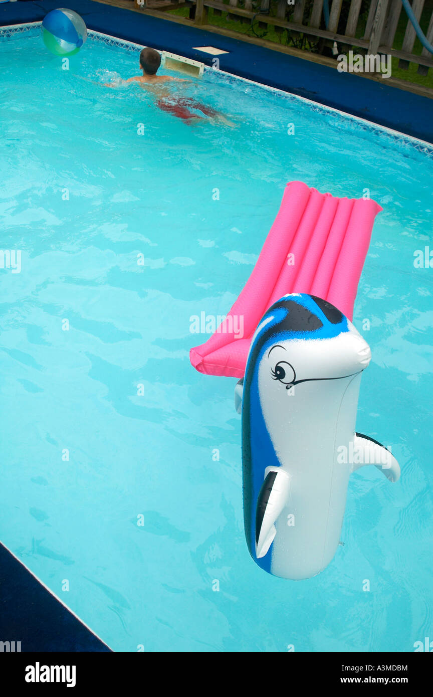 blow up dolphin toys