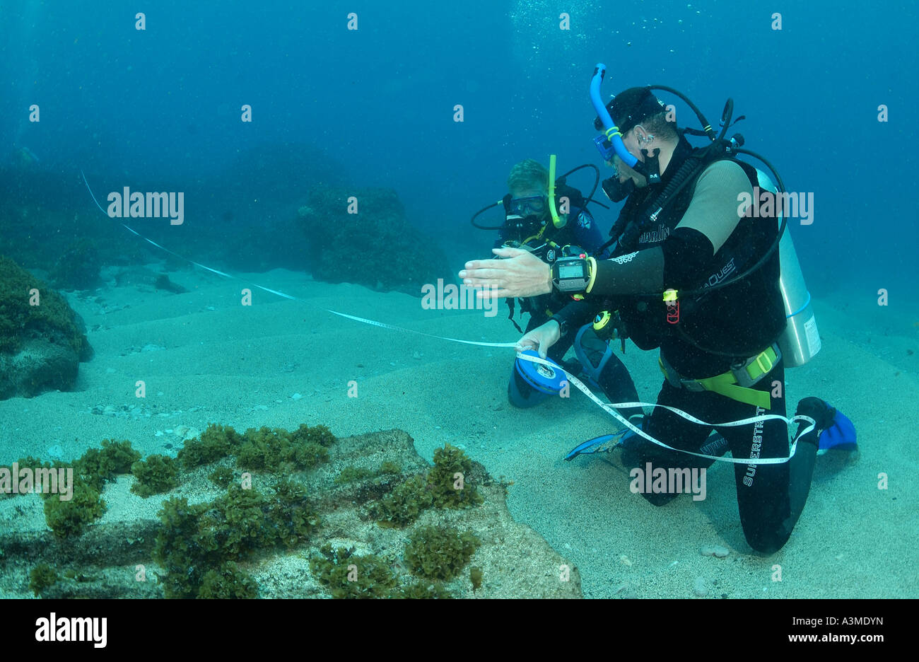 diver working on wreck of Cornwallis. Stock Photo