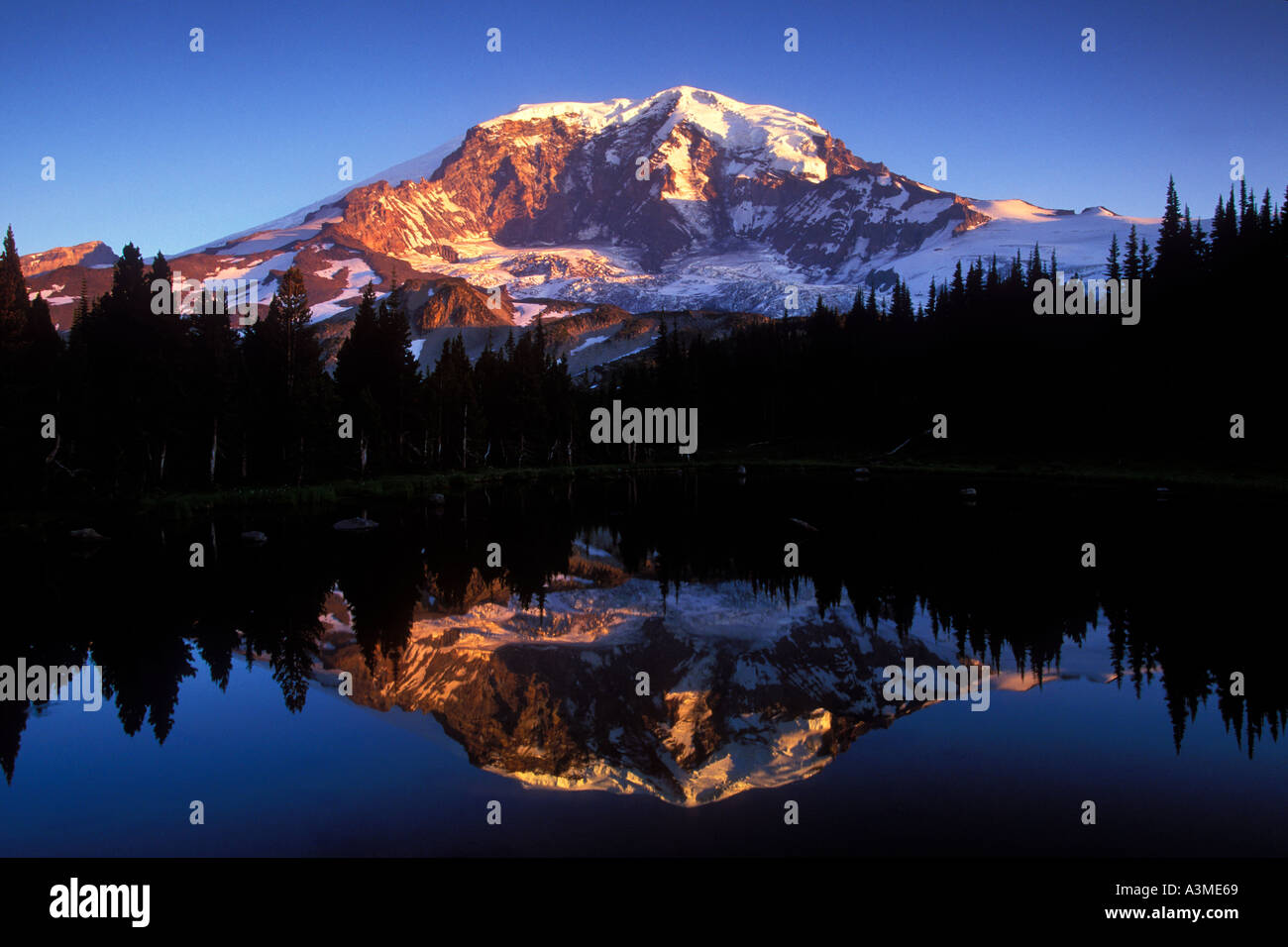 Mt Rainier reflected in a tarn above Mystic Lake at sunrise Mount Stock