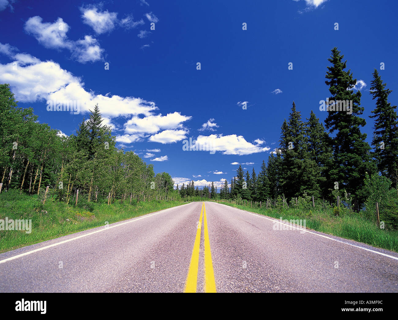 Road Nature Trees Sky Highway Forests Clouds Stock Photo