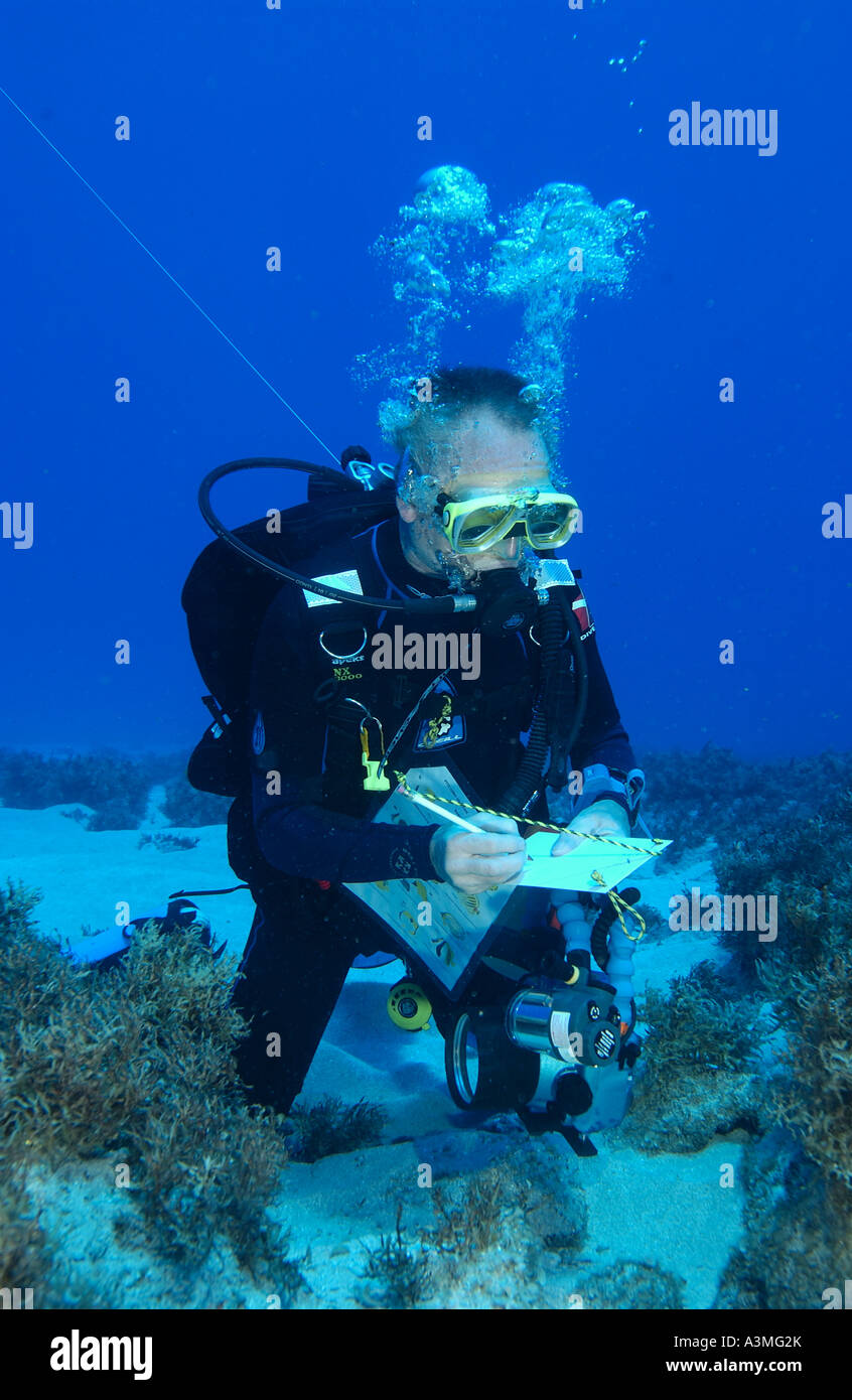 diver doing reef survey Stock Photo