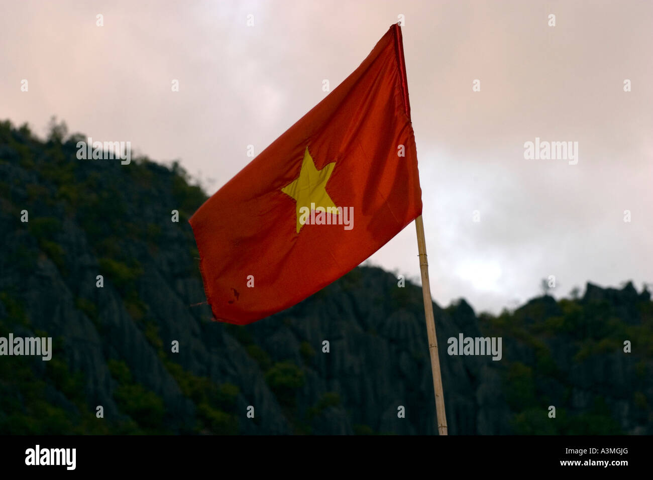 Vietnam Flag Stock Photo