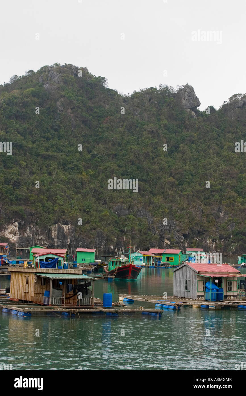 Houseboat Village of the Halong Bay Stock Photo Alamy