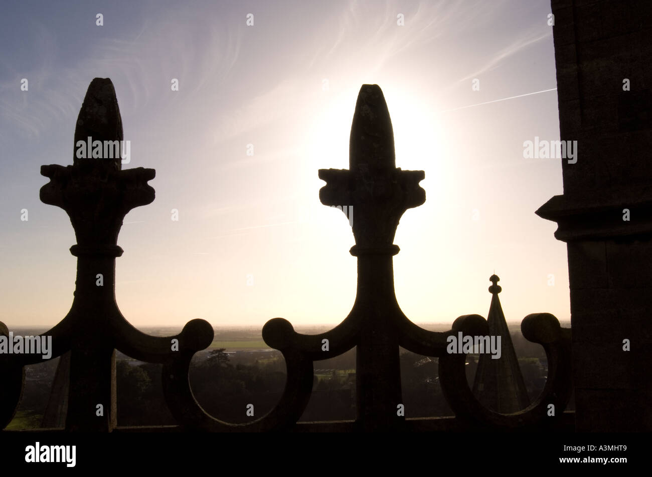 Silhouetted stone finials on the top of Ely Cathedral Stock Photo - Alamy