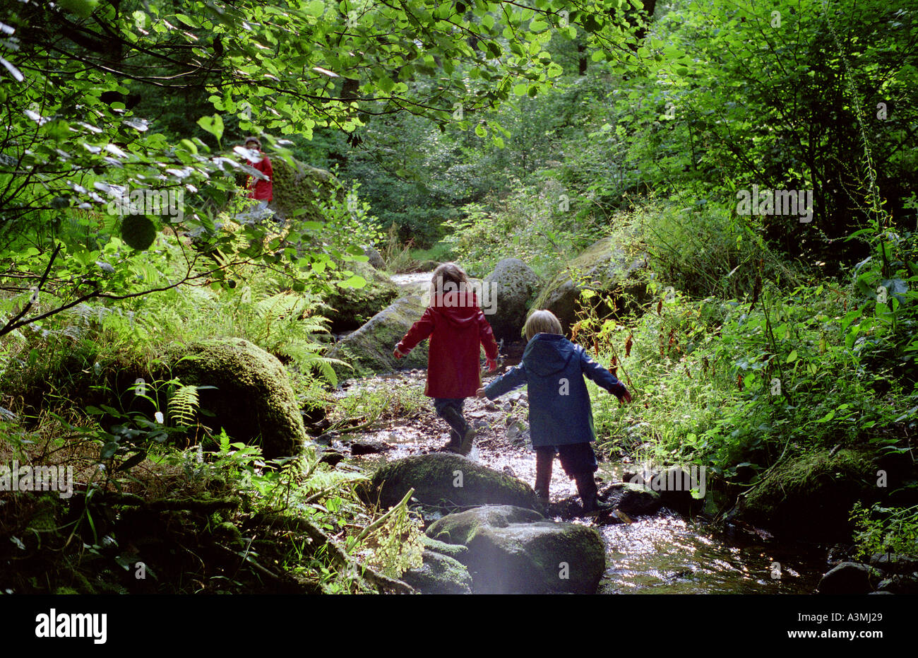 A four year old boy and five year old girl playing in a stream in Devon Stock Photo