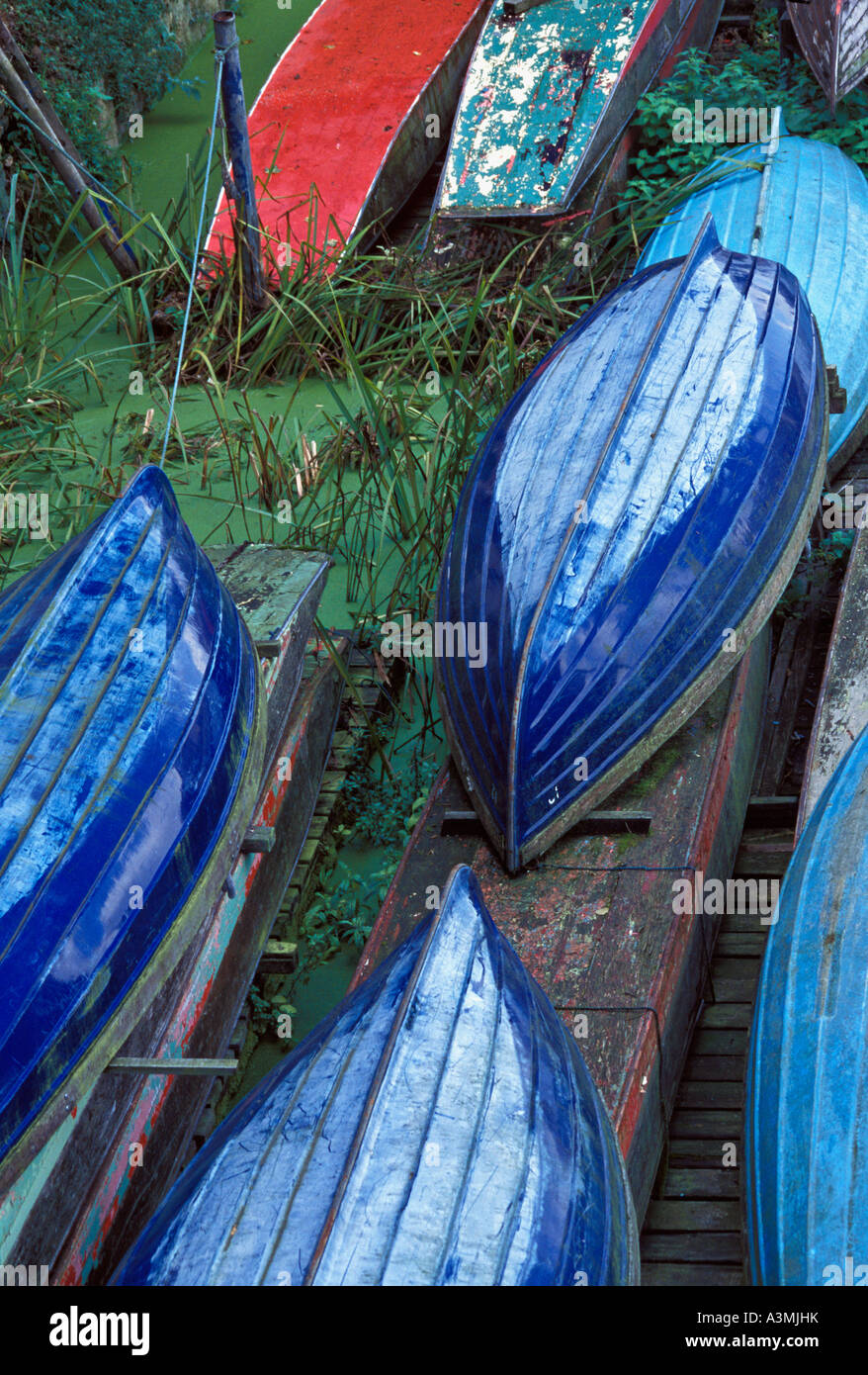 Clinker Rowing Eight Upturned blue clinker rowing boats Stock Photo - Alamy
