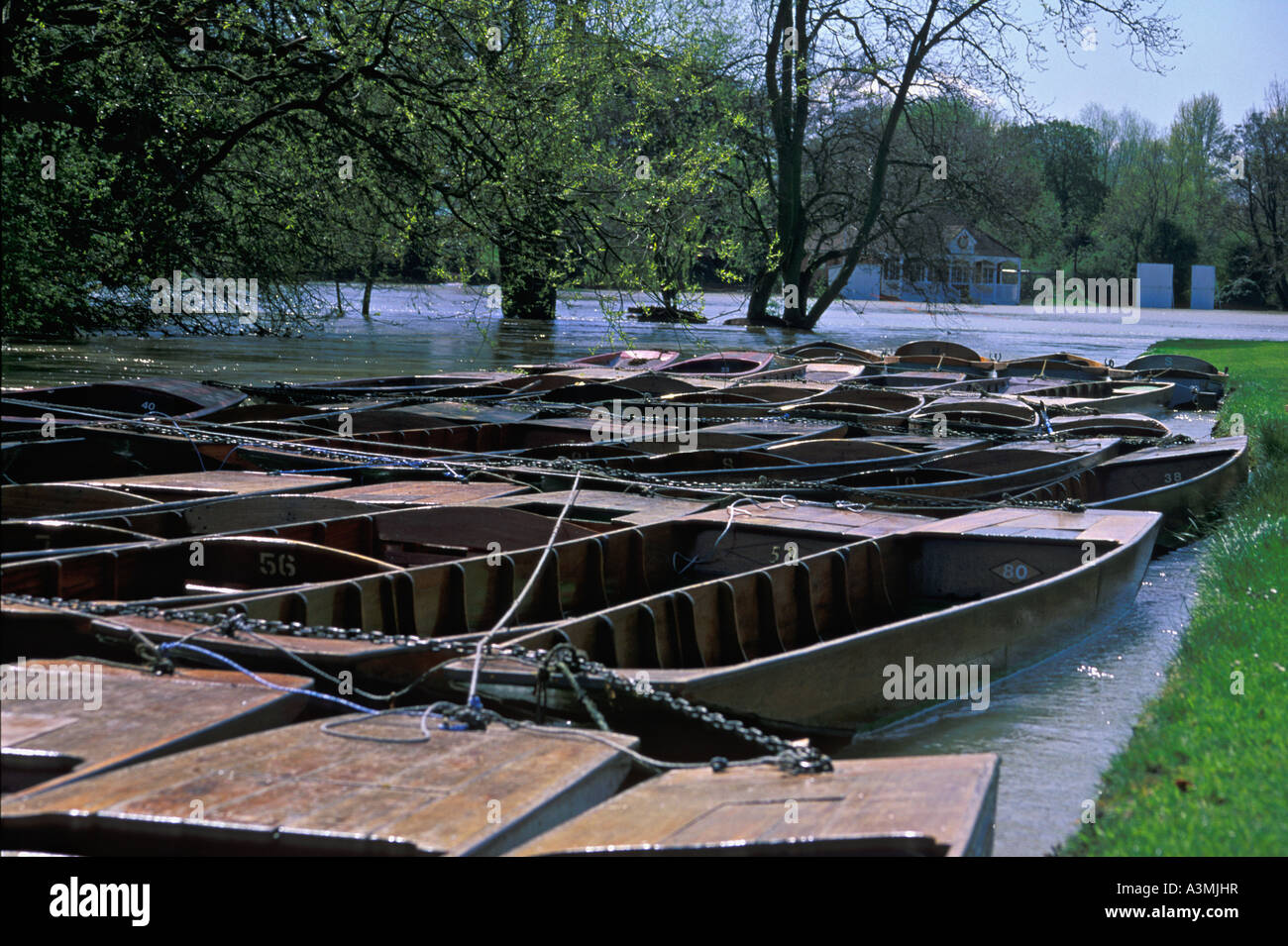 Punts on the River Cherwell in Botanical Gardens Oxford UK Stock Photo
