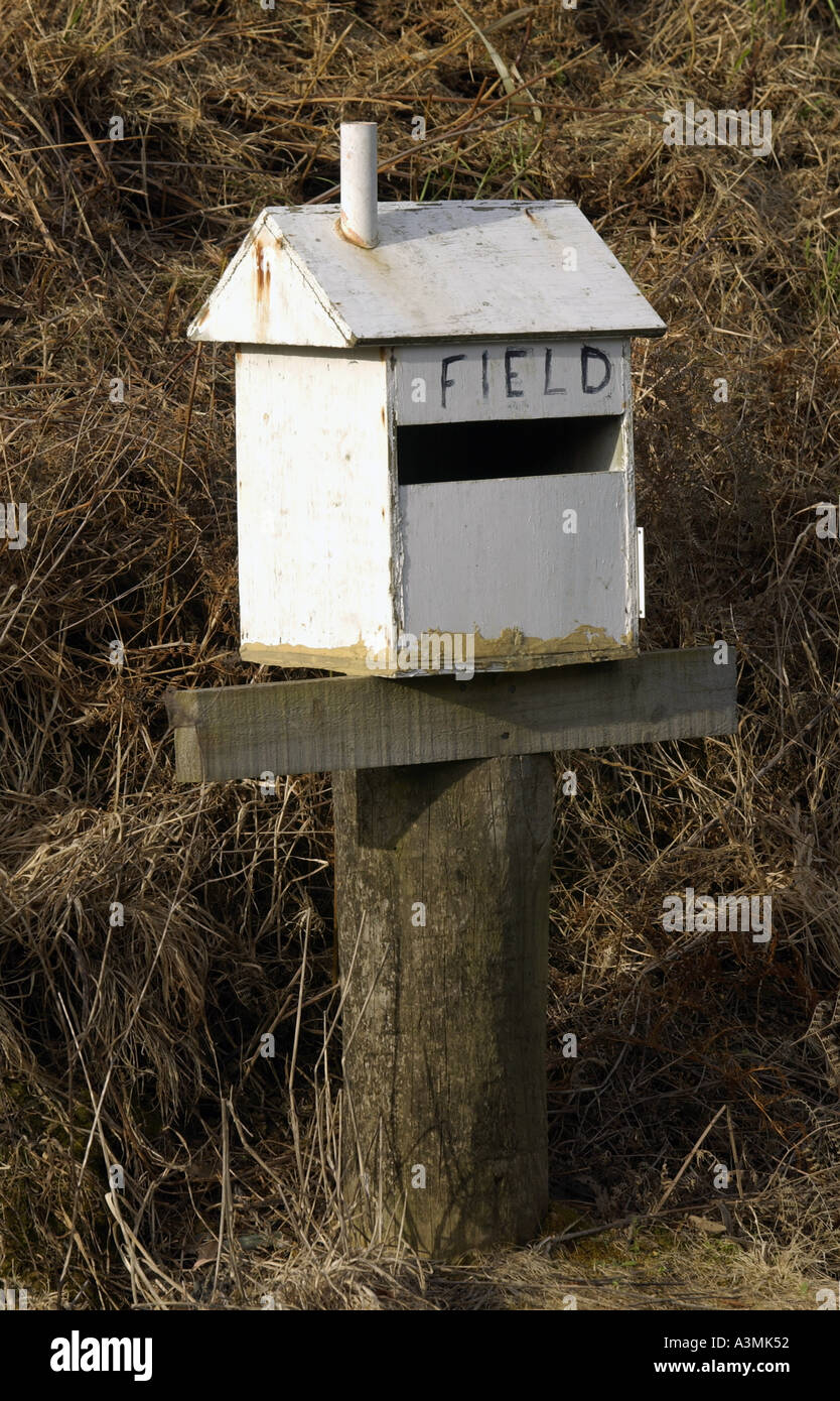 Mailbox North Island New Zealand Stock Photo Alamy
