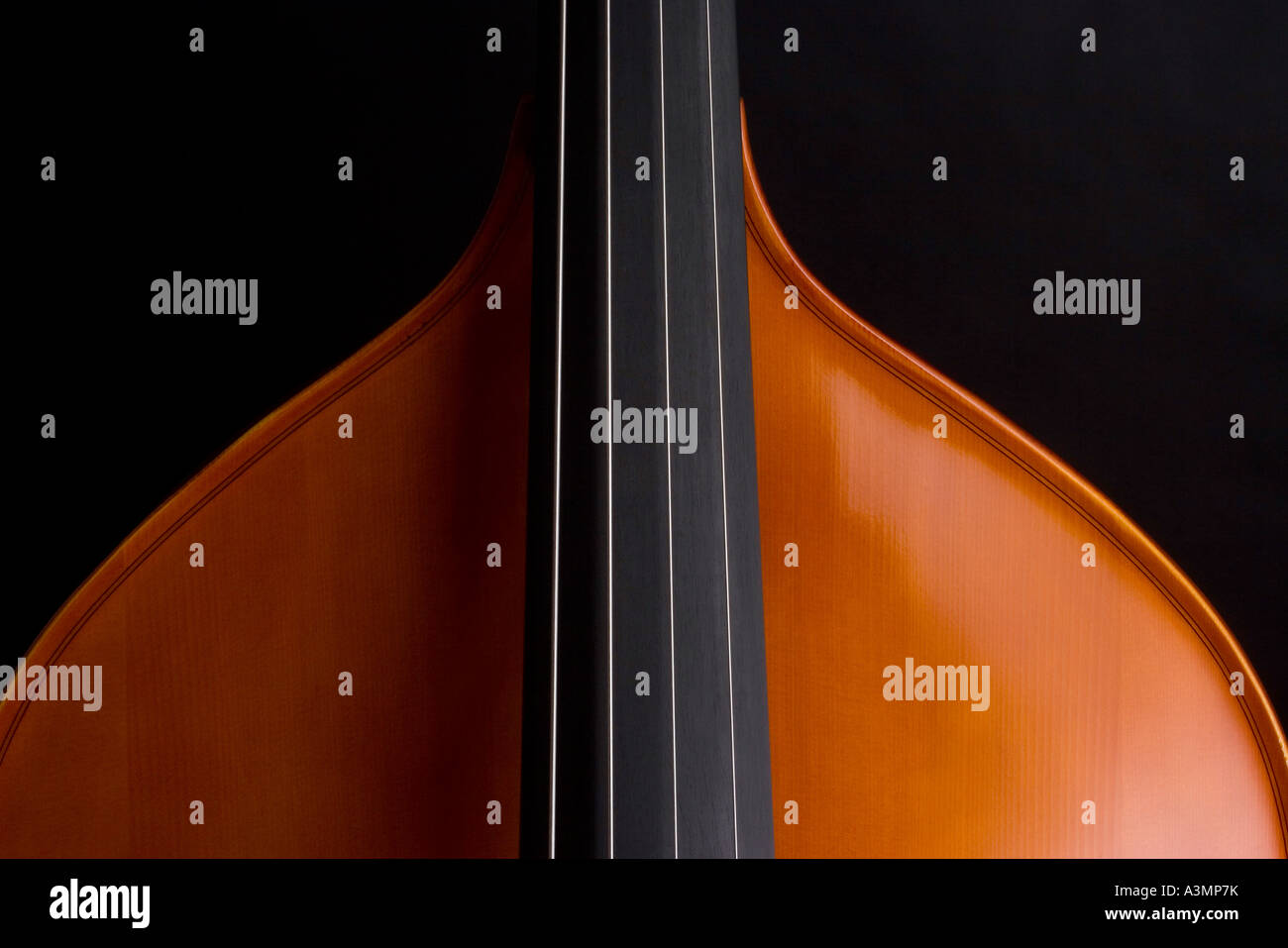 Double bass finger board against black background Stock Photo Alamy