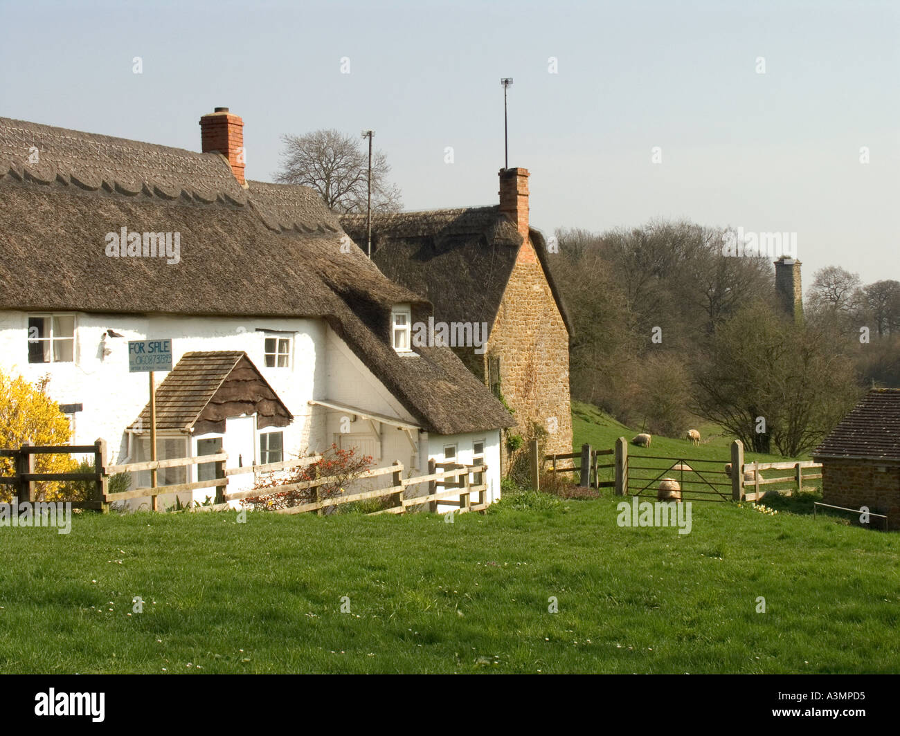 Oxfordshire Hook Norton idyllic thatched country cottage for sale Stock