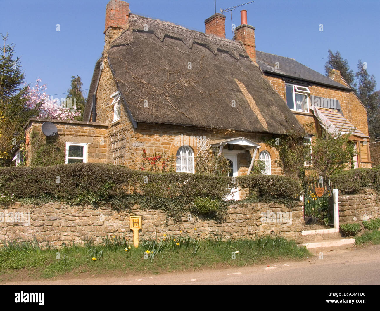 Oxfordshire Hook Norton the old Surgery thatched cottage Stock Photo