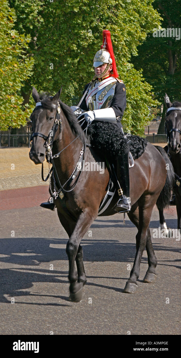 A mounted soldier from the Blues and Royals regiment which forms part