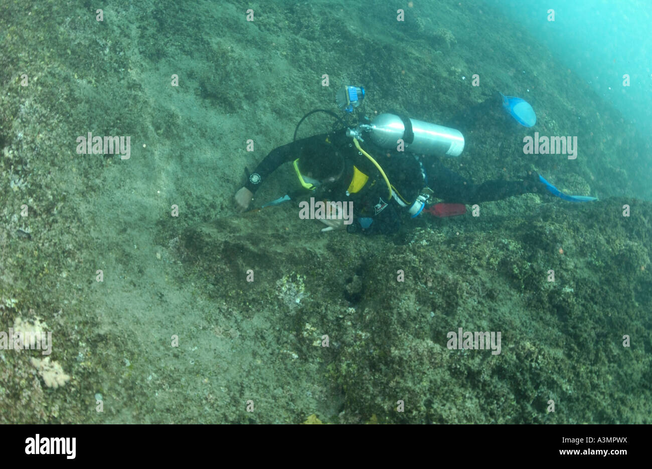 diver finds artefacts from Bounty Stock Photo