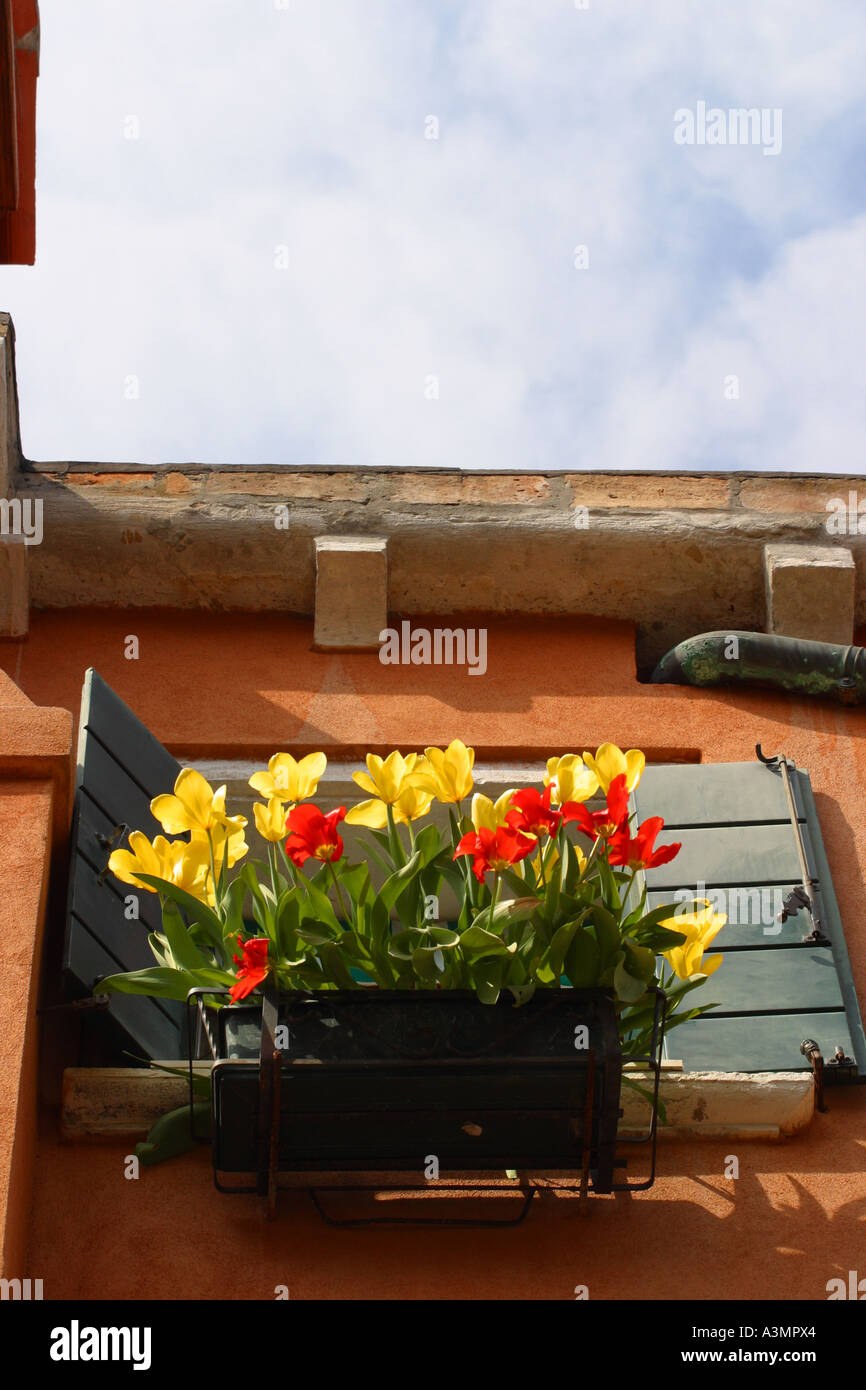 Venice Italy flowers in window box Stock Photo Alamy