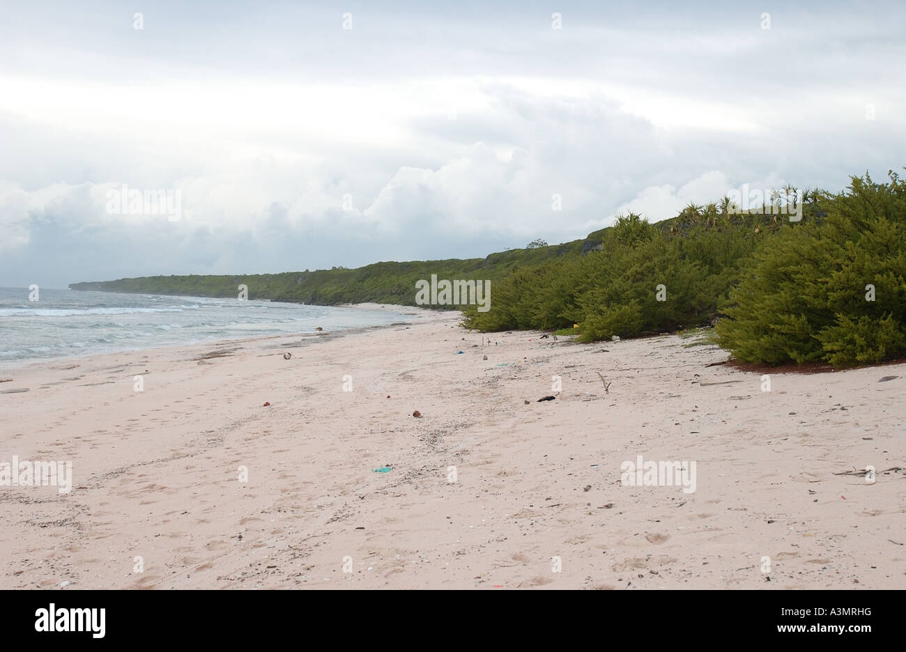beach on Henderson Island. South pacific Stock Photo