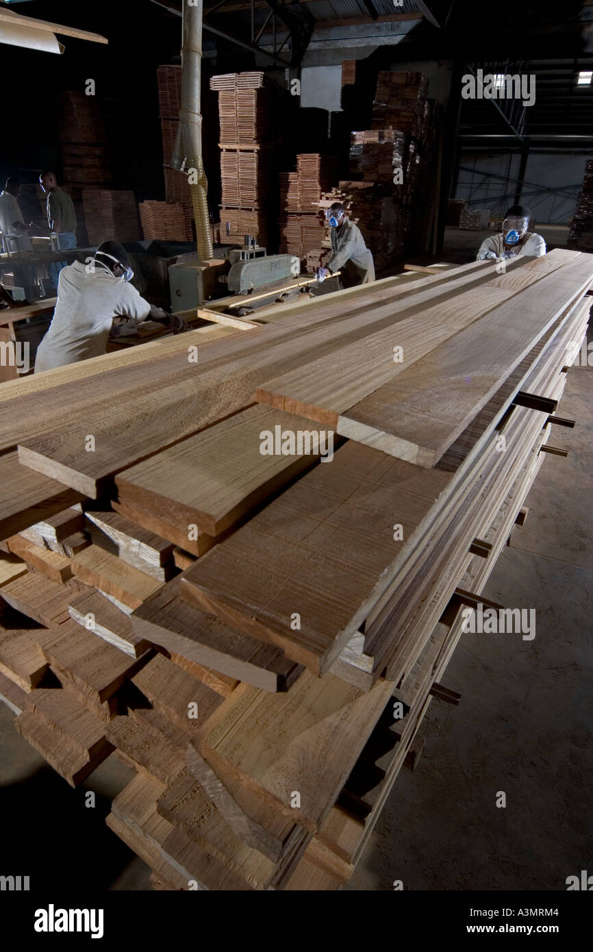 Planing kiln dried of Teak timber, Ghana, West Africa Stock Photo Alamy