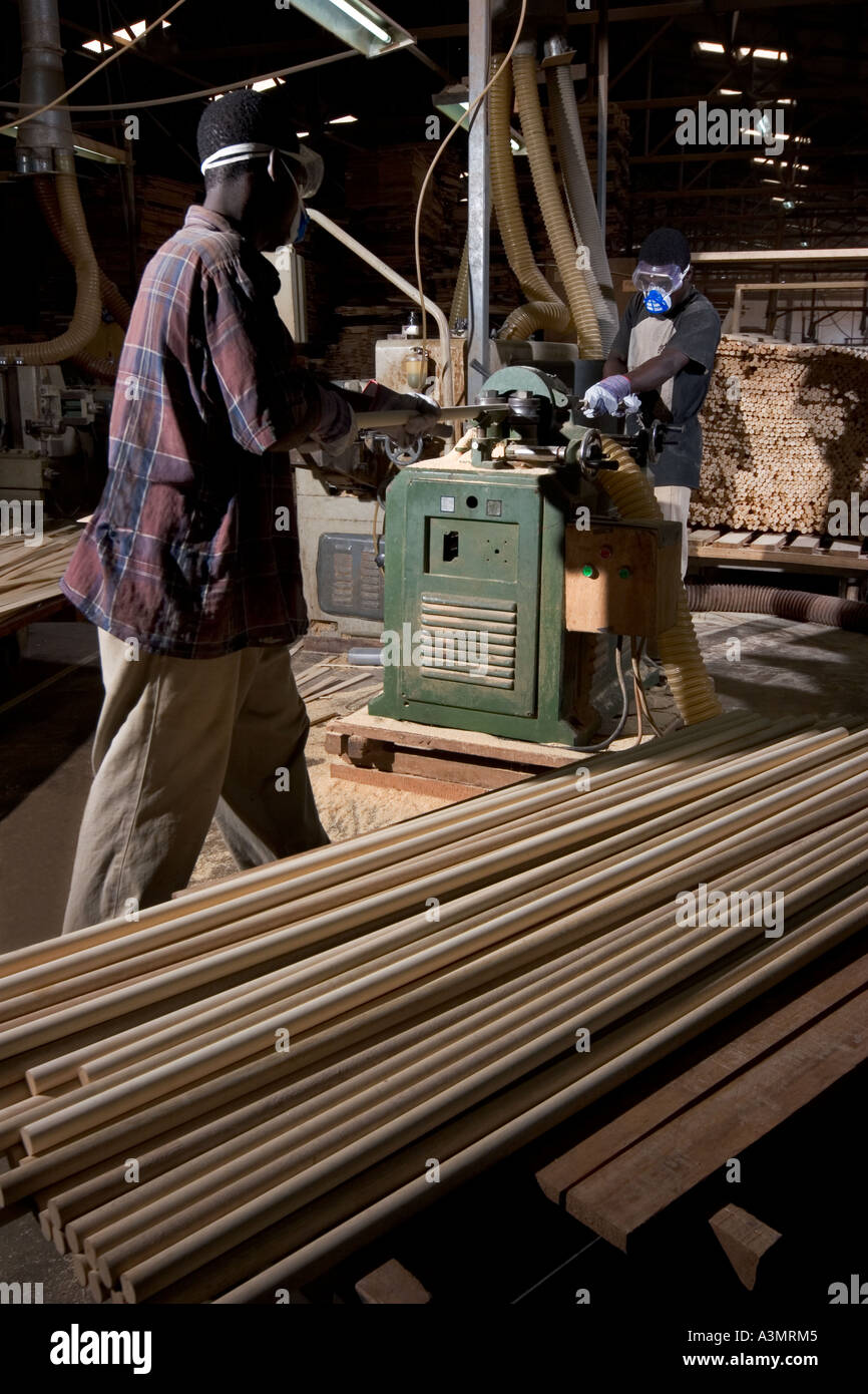 Production of kiln dried Sapele dowelling used in furniture mouldings, Ghana, West Africa Stock Photo