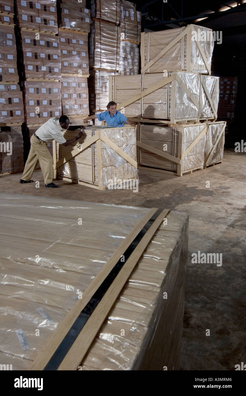 The checking and packaging of Sapele wood dowelling used in furniture mouldings before export to European Union, UK and USA Stock Photo