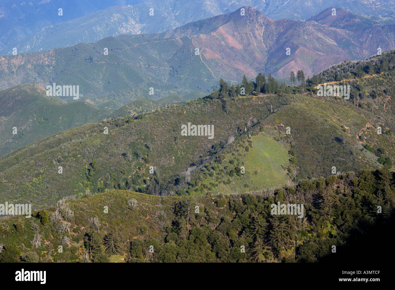 Los Padres National Forest Stock Photo Alamy