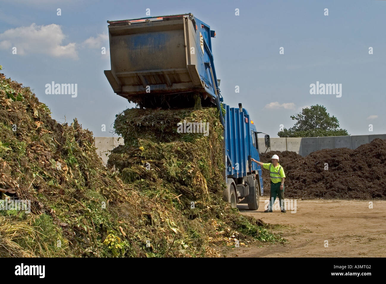 Bulk delivery of green waste to commercial composting plant Stock Photo