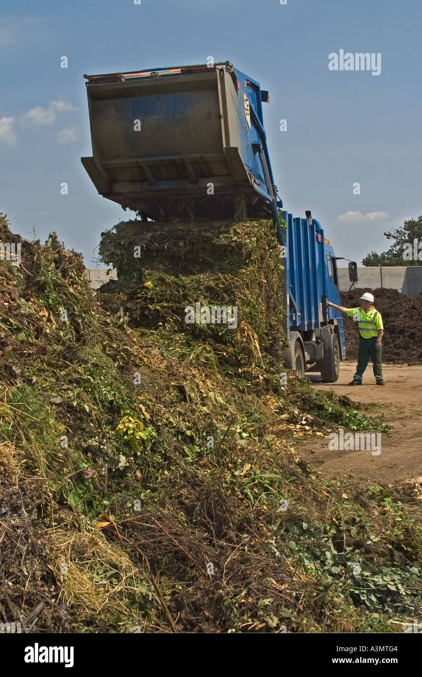 Bulk delivery of green waste to commercial composting plant Stock Photo