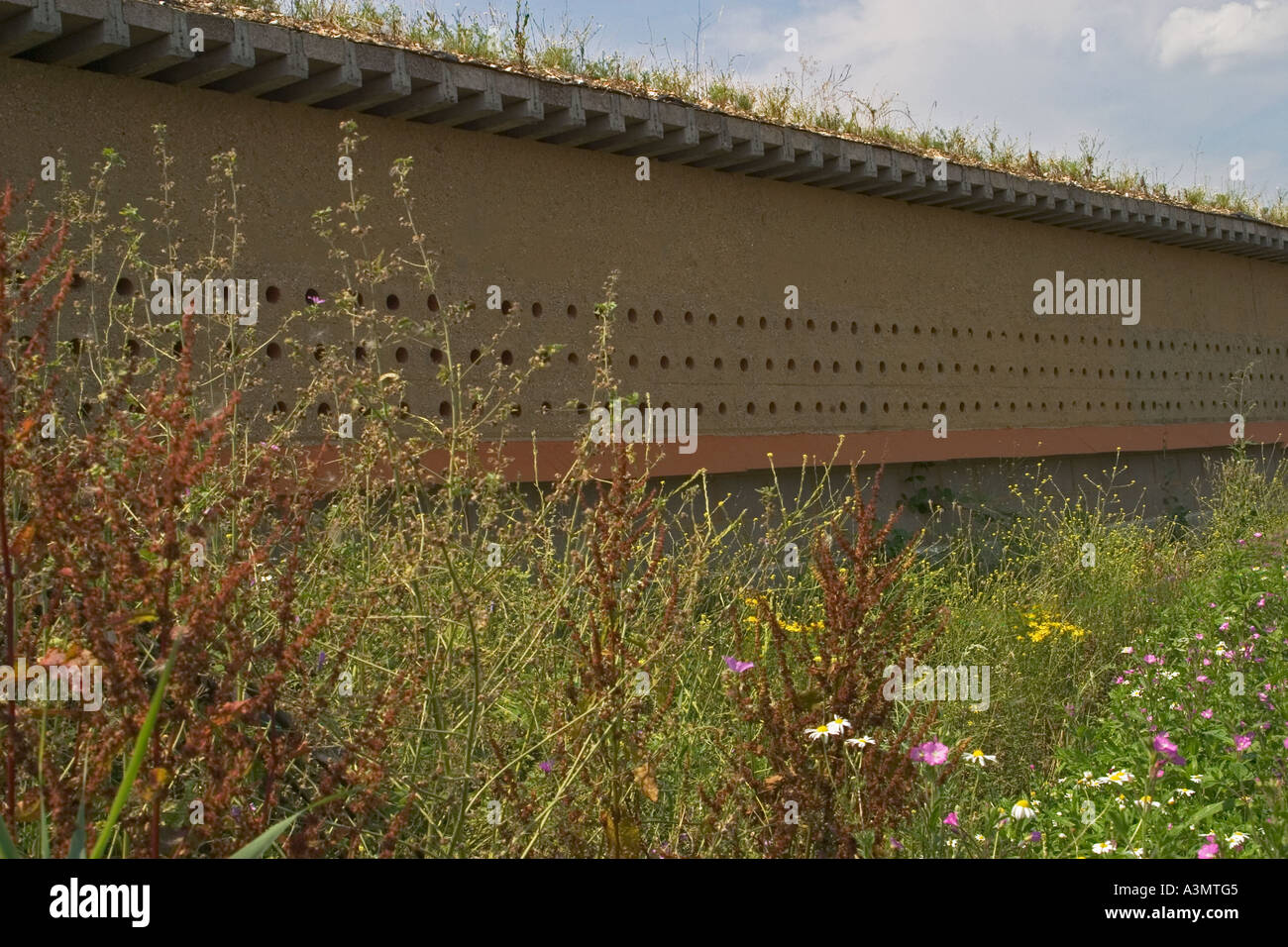Artificial sand martin nesting bank Stock Photo Alamy