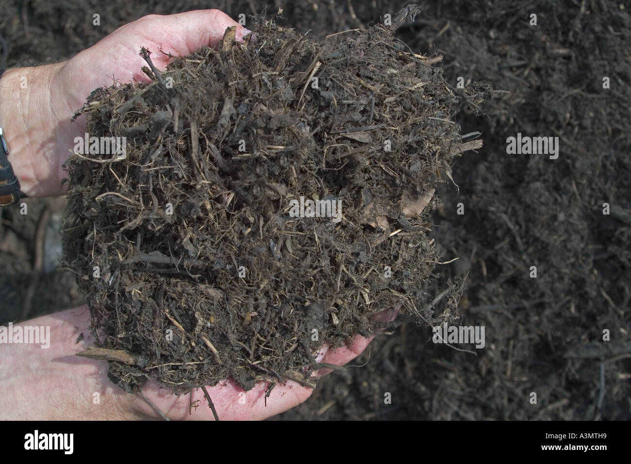 grass compost hires stock photography and images Alamy