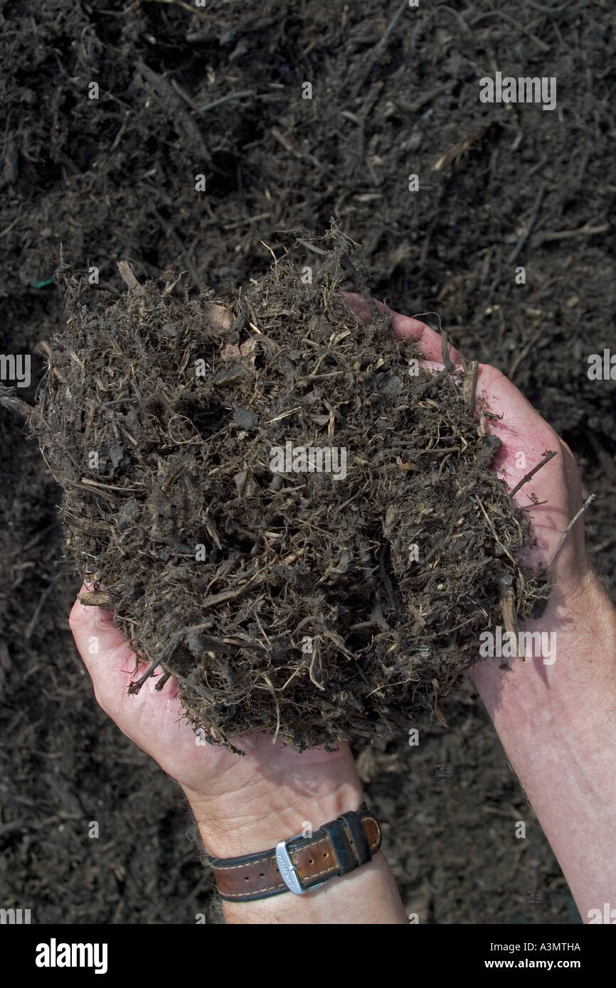 Close up of compost or humus showing crumbly texture and feel of good