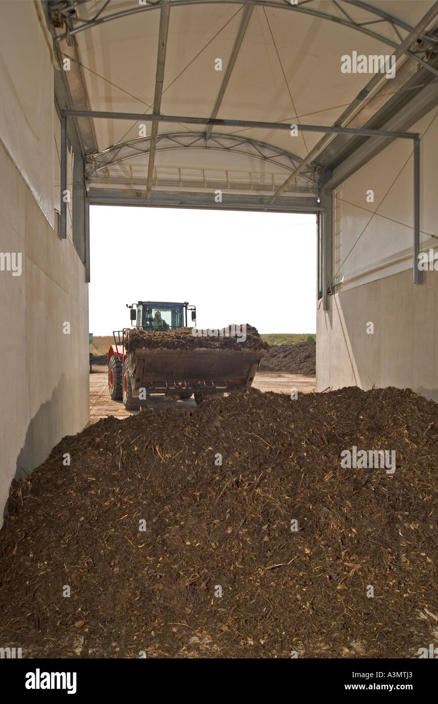 Storing shredded green waste before composting process begins Stock