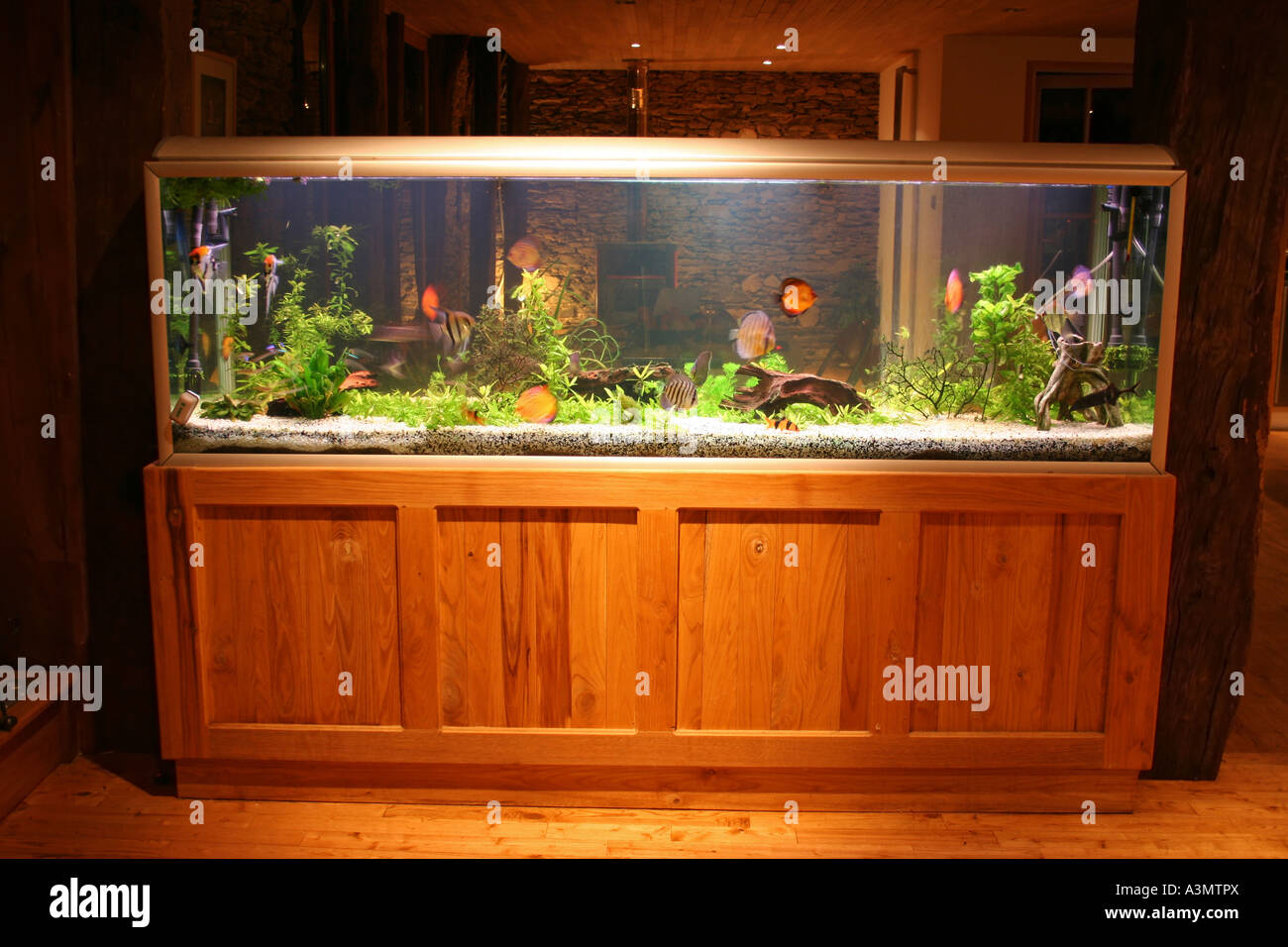 fish tank at night in beautiful house Stock Photo Alamy