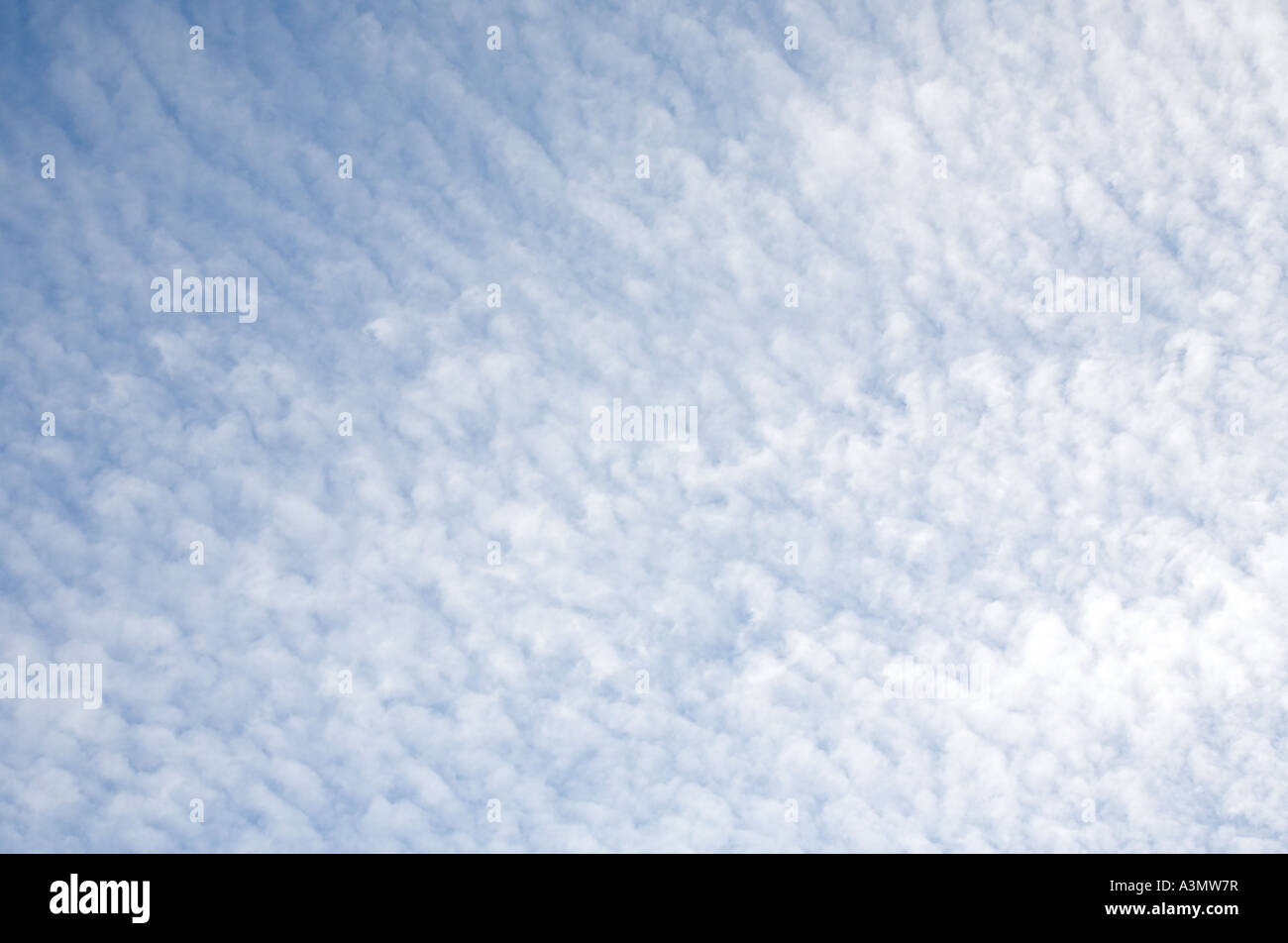 Blue sky covered with fluffy white clouds , Finland Stock Photo - Alamy