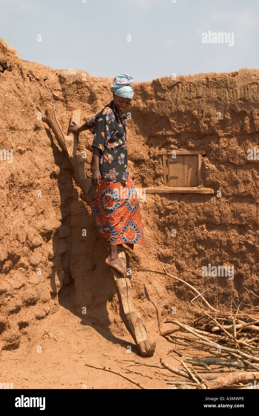 Village woman, Larabanga, Ghana, using ridgid ladder made from tree trunk to get down from her house roof. Stock Photo