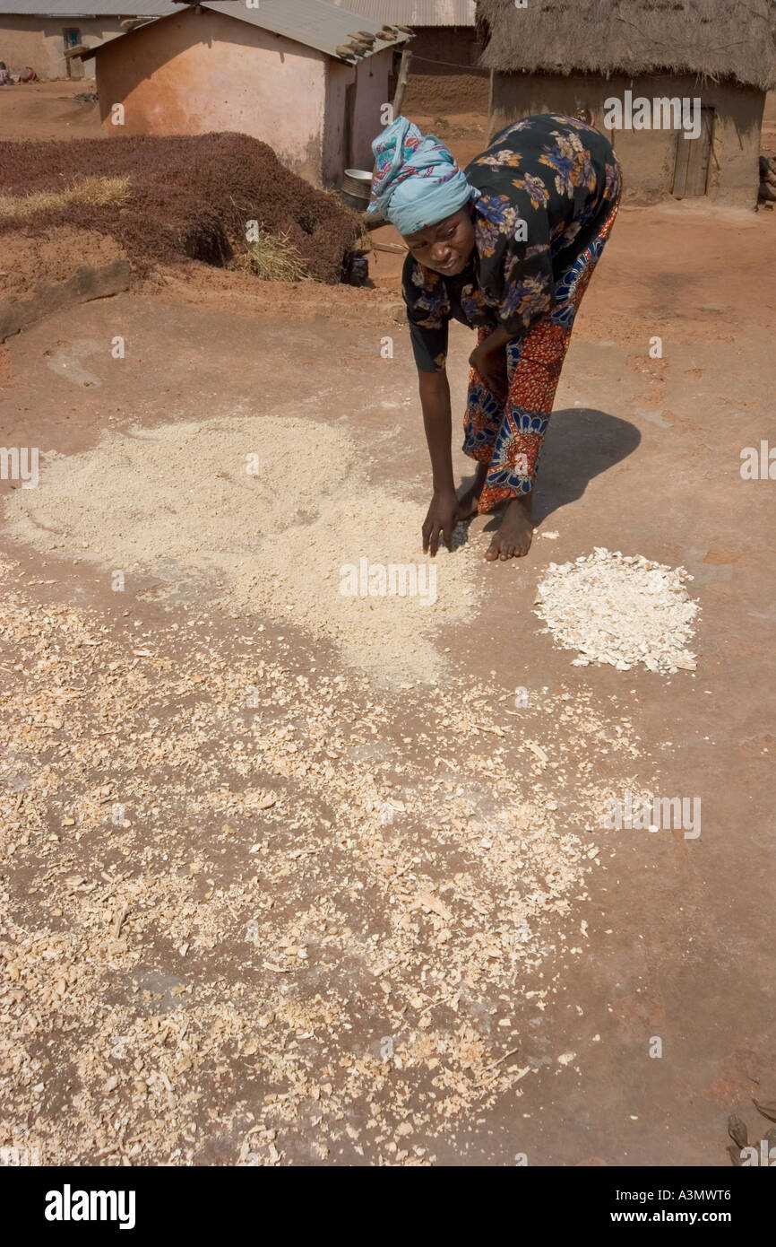 Village woman Larabanga Ghana drying seeds and grain on roof of house Stock Photo