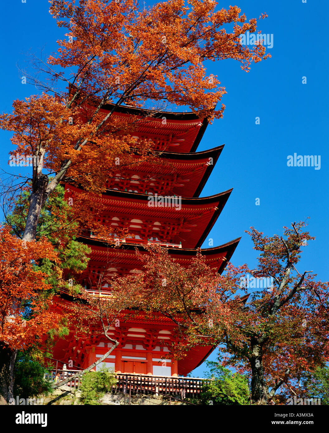 The Five Storied Pagoda with a tree in autumn colours Miyajima Island Hiroshima Japan Stock Photo