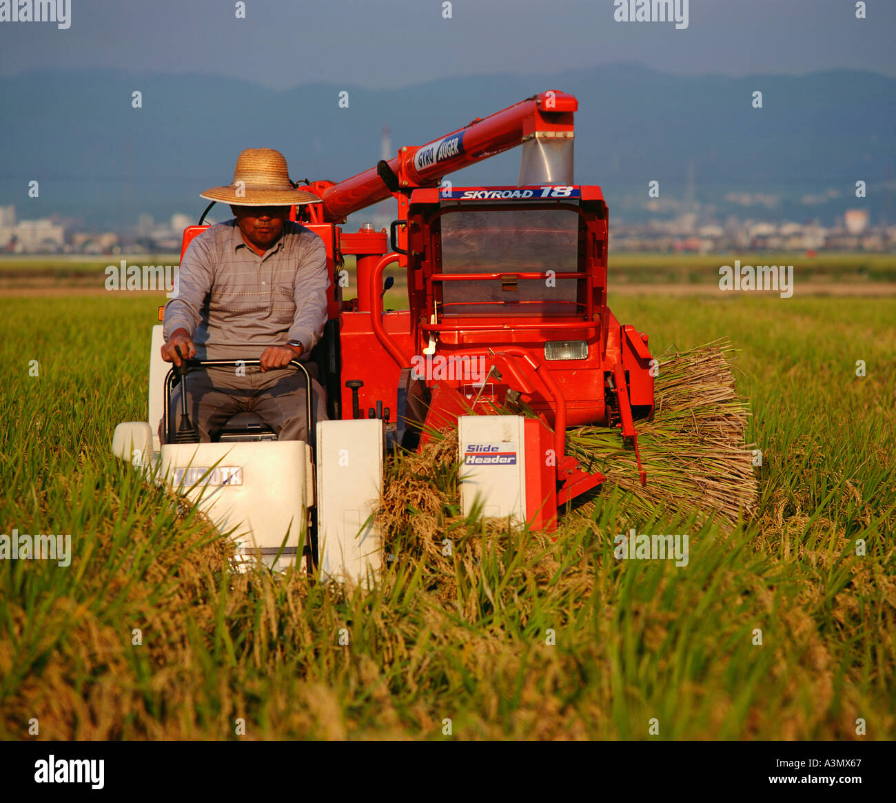 Mechanised rice harvest Kyoto Japan Stock Photo