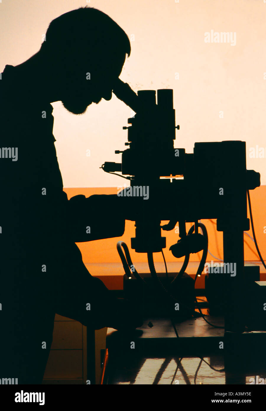 A police forensic scientist examines evidence using a microscope at the ...