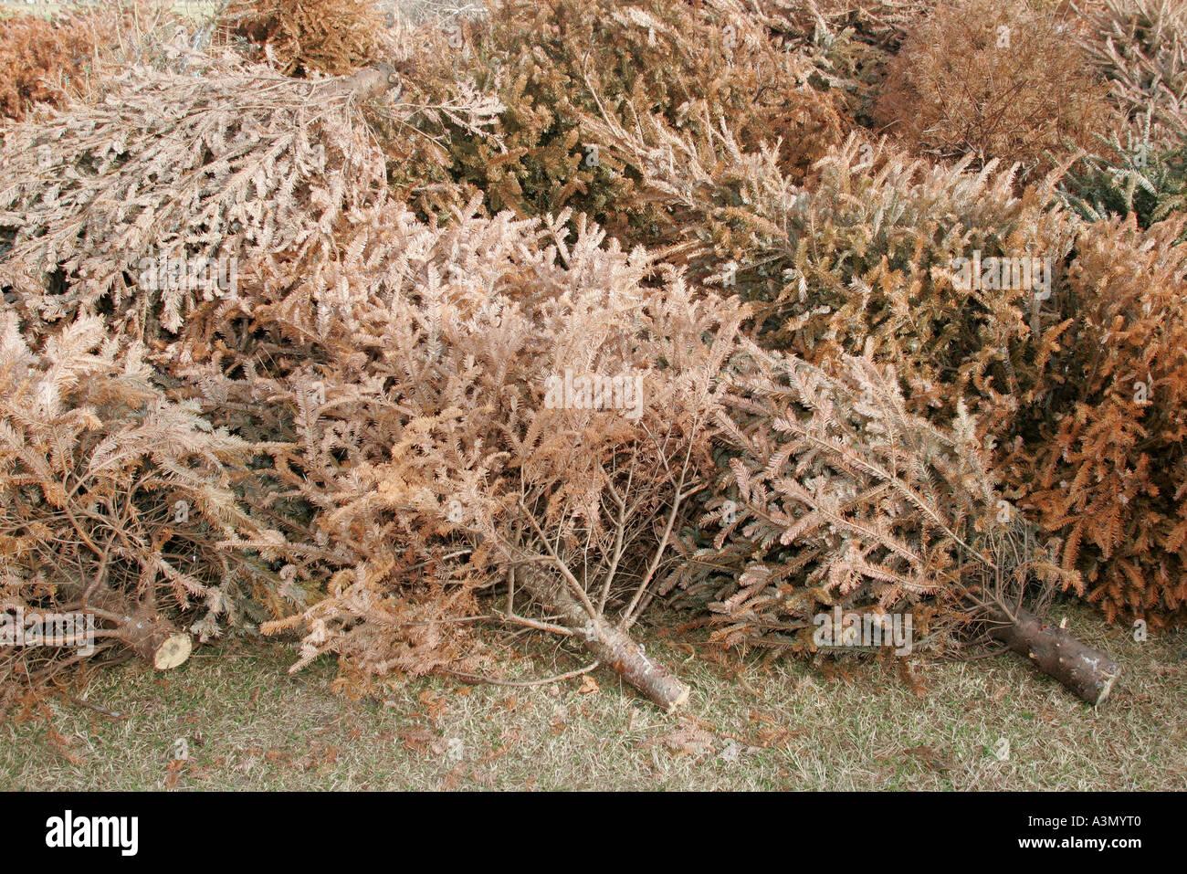 Markham park hires stock photography and images Alamy