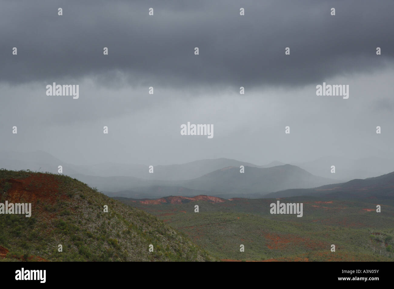 Parc de la riviere bleue New Caledonia Stock Photo Alamy